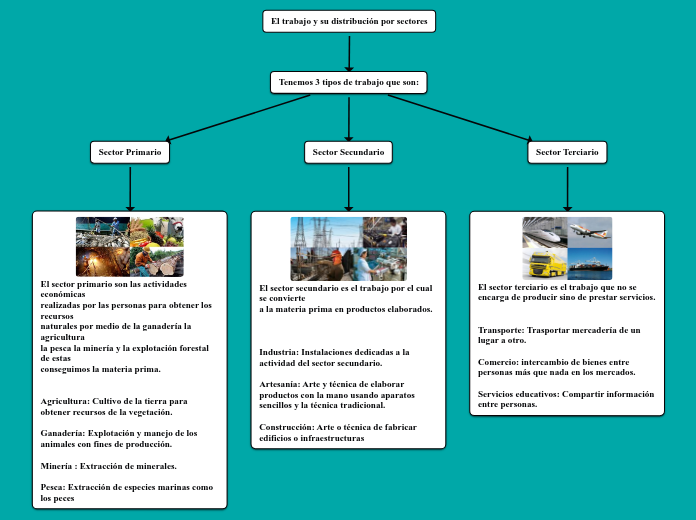 El Trabajo Y Su Distribución Por Sectores Mind Map 2809